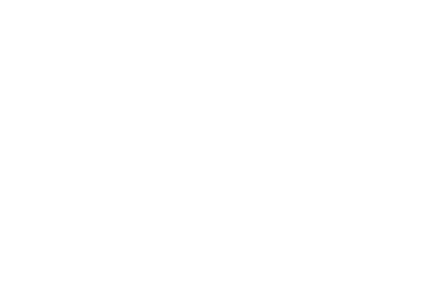 Den Hoogen Reek - Fysiotherapie